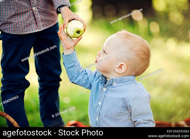 Crop of parent giving for little baby boy apple, walking together in summer park. Little boy in blue cap wearing in checked shirt smiling and having fun outside...