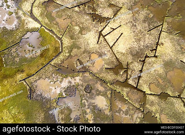 USA, Maryland, Drone view of marshes along Nanticoke River on Eastern Shore
