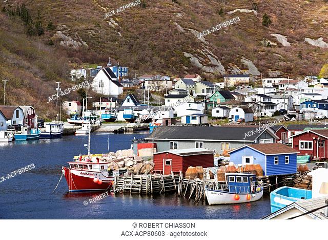 Nestled deep in the heart of Motion Bay, Petty Harbour is a small town south of St. John's that still relies heavily on fishing as it makes the transition to...