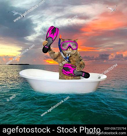 The beige cat diver with a mask, a snorkel and flippers is drifting in a bathtub in the open sea