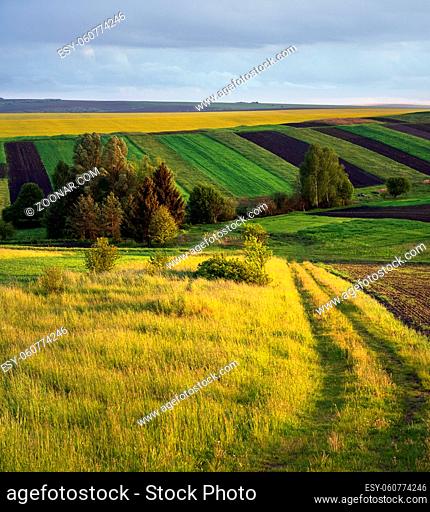 Spring yellow flowering rapeseed and small farmlands fields, cloudy evening sky and green hills. Natural seasonal, eco, farming