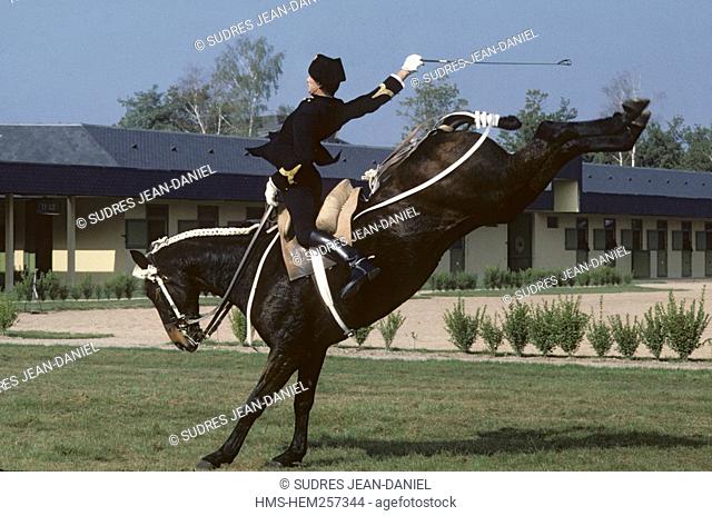 France, Maine et Loire, Saumur, French National riding school Cadre Noir de Saumur 1971, training