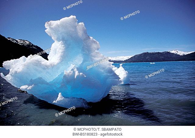 Icy Bay - Prince William Sound, USA, Alaska