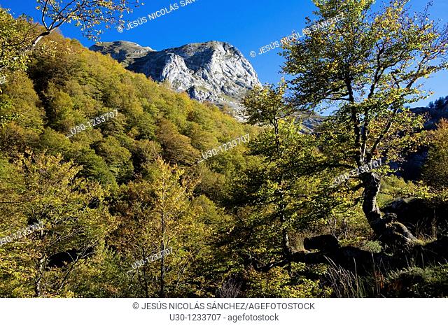 Prada Valley, in Picos de Europa National Park  Santa Marina de Valdeon  Leon  Castilla y Leon  Spain