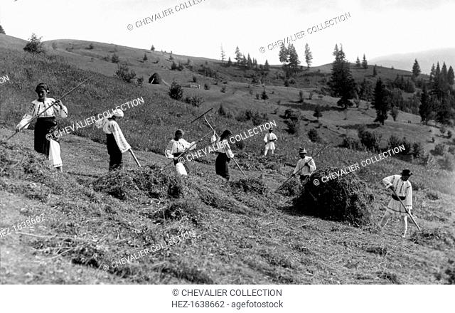 Working at harvest time, Bistrita Valley, Moldavia, north-east Romania, c1920-c1945. Depicting customs and traditional labour in the rural Carpathian Mountains...