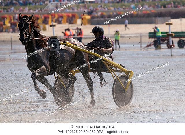 25 August 2019, Lower Saxony, Cuxhaven: On the beach of Duhnen, a trotting horse with a wagon travels over the mud flats. Photo: David Young/dpa