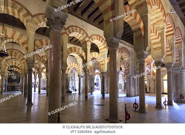 Interior of the Mosque–Cathedral of Córdoba, Córdoba municipality, province of Córdoba, Andalusia, Spain