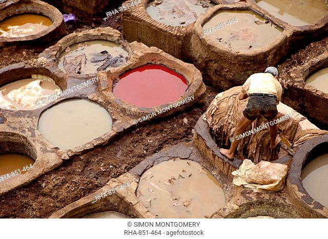 Tannery, Fes (Fez), Morocco, North Africa, Africa