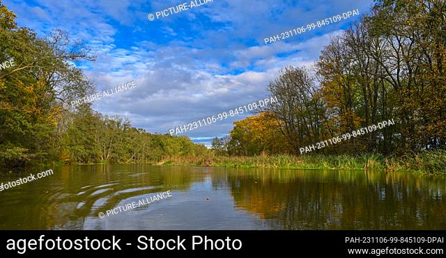 05 November 2023, Brandenburg, Reitwein: Autumn on the Old Oder, on the Padde to be precise. The Old Oder is the name given to numerous old branches of the Oder...