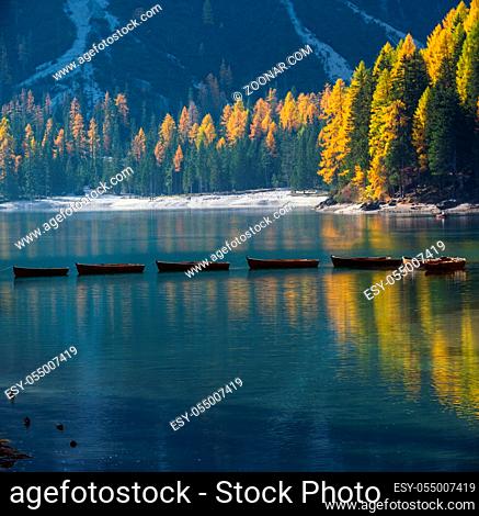 Autumn peaceful alpine lake Braies or Pragser Wildsee. Fanes-Sennes-Prags national park, South Tyrol, Dolomites Alps, Italy, Europe