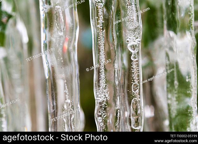 Close-up of icicles on plant