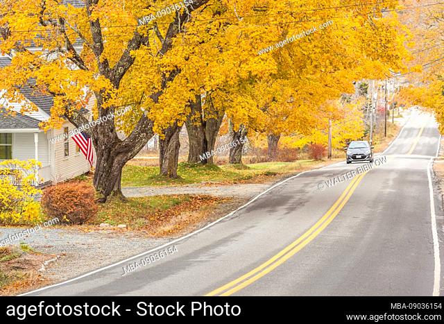 USA, Maine, Deer Isle, Sunset Road, autumn