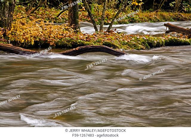 River, Oconaluftee area, Great Smoky Mtns National Park, NC