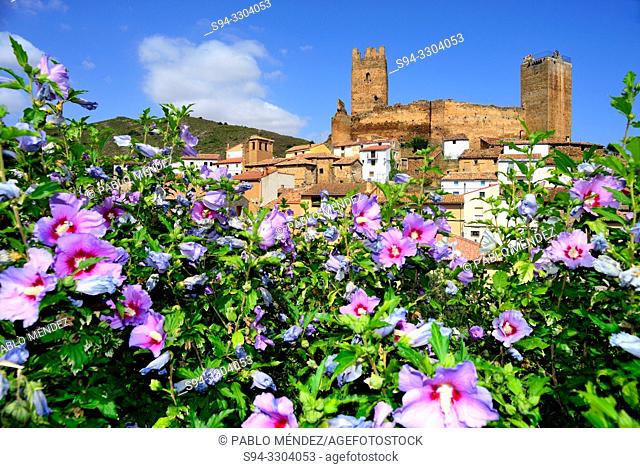 Castle of Vozmediano, Soria, Spain
