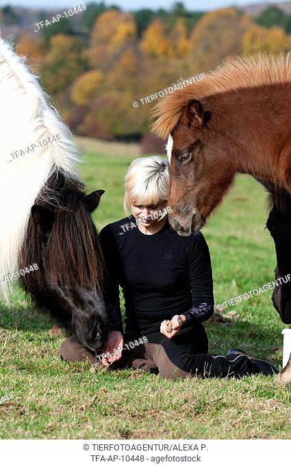woman with Icelandic horses