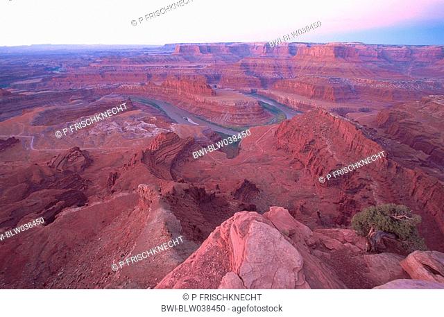 Dead Horse Point Overlook at sunrise, canyon and Colorado River, erosion, pink sky, USA, Utah