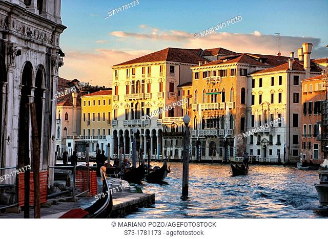 Gran Canal, Venice. Veneto. Italy