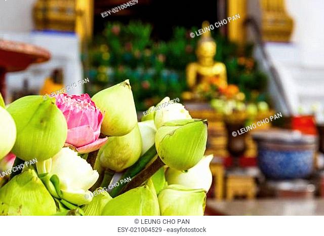 Lotus bud in thailand temple