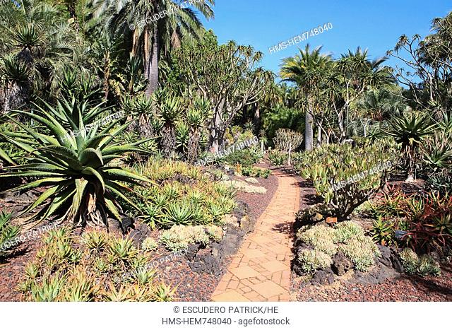 United States, California, Santa Barbara, Montecito, Ganna Walska Lotusland, the Aloe garden