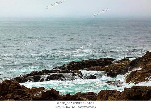 Rocky Coastline of Pacific Ocean where Waves Hit Shore