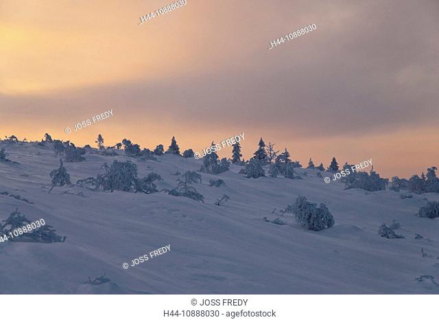 Einsame Fjäll-Landschaft im Morgenlicht in den Bergen von Saariselkä nahe des Dorfes Kiilopää im Urho-Kekkonen-Nationalpark in Finnisch Lappland