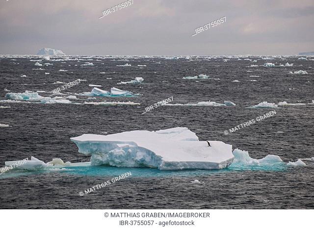 Icebergs floating in the South Atlantic Ocean, Weddell Sea, Antarctic Peninsula, Antarctica