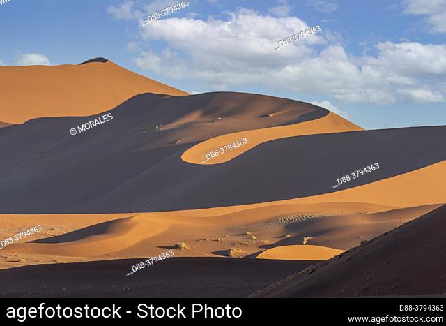 Namibia, Hardap region, Namib Desert, Namib-Naukluft National Park, Namib Erg listed as UNESCO World Heritage, Sossusvlei dunes,