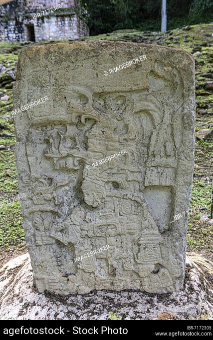 Archeological Maya site Yaxchilan in the jungle of Chiapas, Mexico, Central America