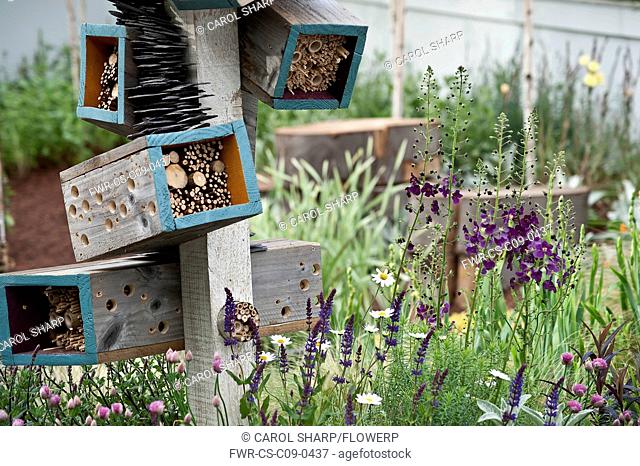 Chelsea Flowershow 2009, Future Nature garden, designed by Ark Design with boxes providing insect habitat