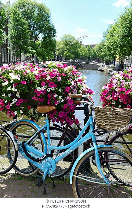 Brightly coloured blue bicycle and flower baskets on a bridge over a canal, Utrechtsestraat, Amsterdam, North Holland, Netherlands, Europe