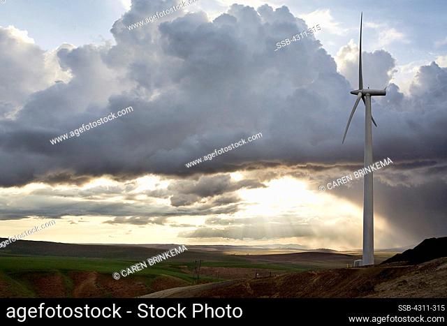 Wind turbine in a farm, Nine Canyon Wind Project, Richland, Washington State, USA