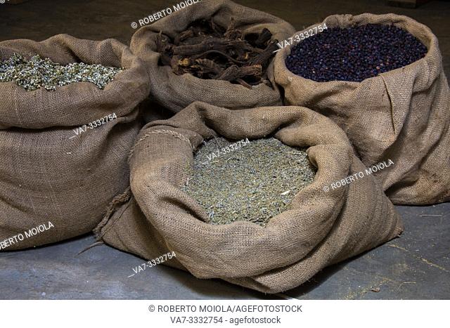 Alpine herbs in burlap sack, ingredients of recipe of liquor Amaro Braulio, Bormio, Sondrio, Valtellina, Lombardy, Italy