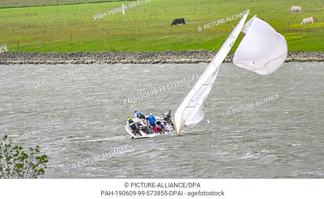 09 June 2019, North Rhine-Westphalia, Wesel: The crew of a sailing boat tries to get their out-of-control spinnaker under control on the Rhine near Wesel
