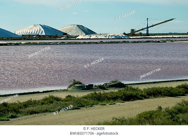sea salt production in the salines of Salins-du-Midi, France, Aigues-Mortes, Camargue