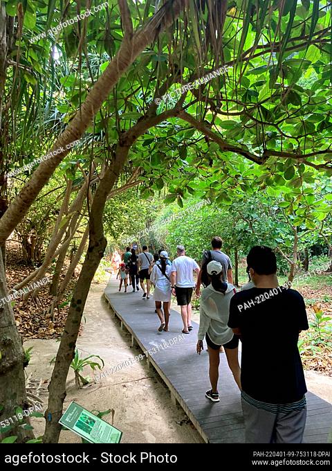 PRODUCTION - 12 March 2022, Thailand, Ko Phi Phi Leh: Tourists walk across a wooden walkway from the jetty to Maya Bay. The rules for visiting the dream beach...