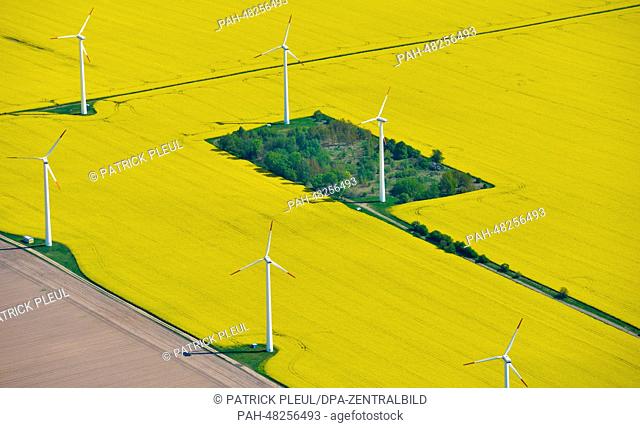 Aerial view of a field of blossoming canola in Falkenhagen near Seelow, Germany, 29 April 2014. Photo: Patrick Pleul/ZB | usage worldwide