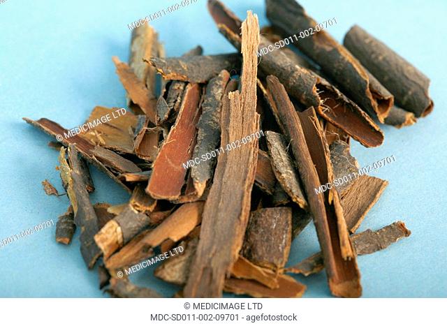 Frangula bark has been the principal ingredient in many commercial and over-the-counter laxatives in North America