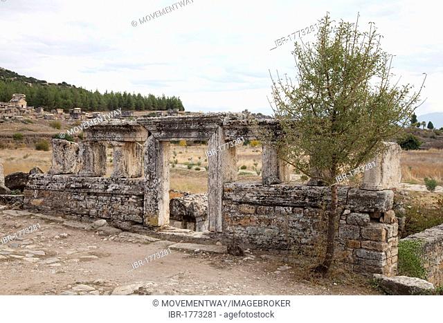 Tomb, Hierapolis, Pamukkale, Denizli, Turkey, Asia