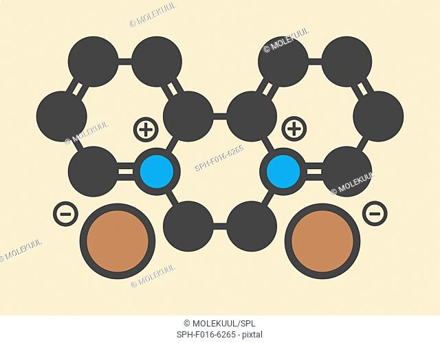 Diquat dibromide contact herbicide molecule. Stylized skeletal formula (chemical structure). Atoms are shown as color-coded circles: hydrogen (hidden)