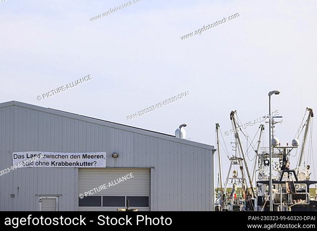 23 March 2023, Schleswig-Holstein, Büsum: A banner reading ""The land between the seas soon without shrimp trawlers?"" hangs on the wall of a warehouse on the...