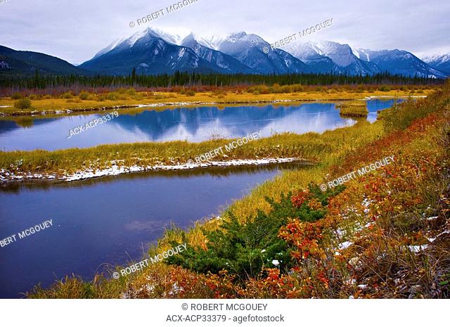 Rocky Mountains overlooking a marshy autumn landscape in Jasper National Park, Alberta, Canada
