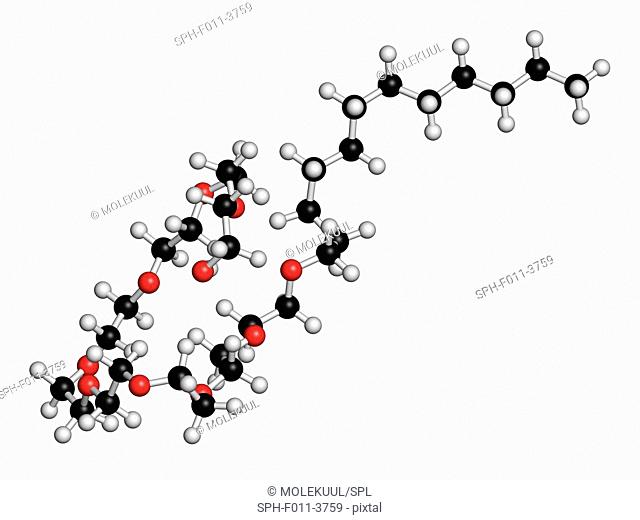 Polidocanol sclerosant drug molecule. Used in treatment of varicose veins. Atoms are represented as spheres with conventional colour coding: hydrogen (white)