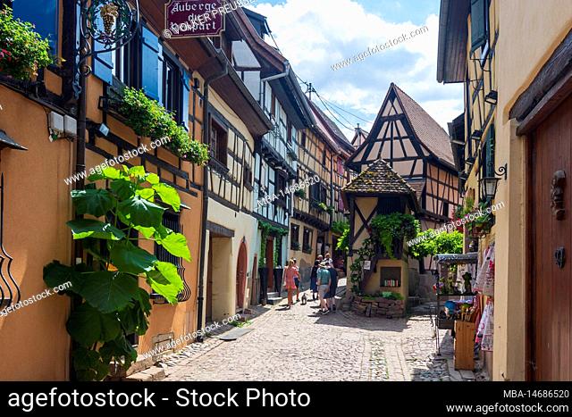 Eguisheim (Egisheim), Old Town, narrow alley, half-timbered houses, flowers, tourists in Alsace (Elsass), Haut-Rhin (Oberelsass), France
