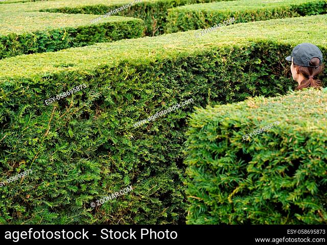 A woman wearing a baseball cap walks around lost in a giant labyrinth made of boxwood hedges