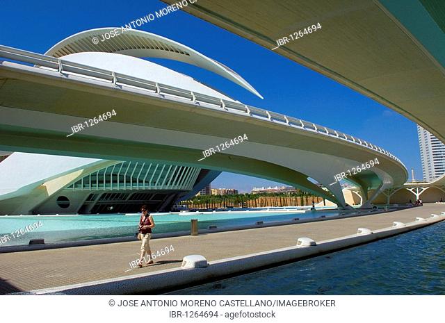 Monteolivete bridge at City of Arts and Sciences, by S. Calatrava, Valencia, Comunidad Valenciana, Spain, Europe