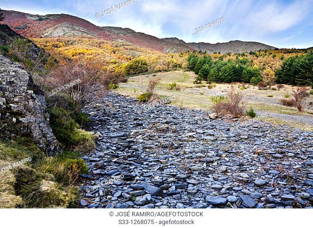The Paraiso riverbank in Tejera Negra Sierra Norte Guadalajara Castilla la Mancha Spain