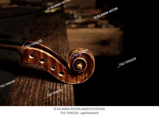 Luthier workshop  Manufacturing stringed musical instruments  Handicraft