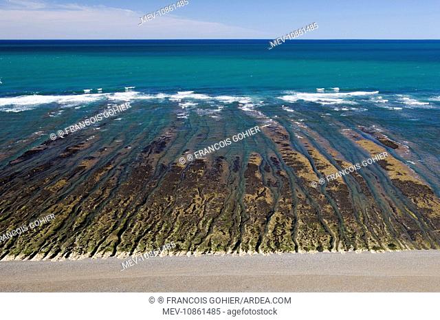 Argentina, Patagonia, Province Chubut: Valdes Peninsula.Low tide at Caleta Valdes on the Atlantic coast. The platform exposed at low tide is called a 'restinga'...