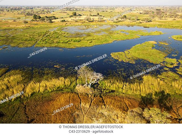 The Gomoti River with its adjoining freshwater marshland, aerial view, Okavango Delta, Moremi Game Reserve, Botswana