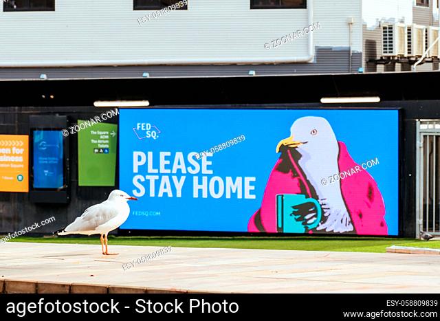 Melbourne, Australia - February 16 2021: Federation Square in Melbourne is quiet and empty with seagulls during a 'circuit breaker' lockdown imposed suddenly by...